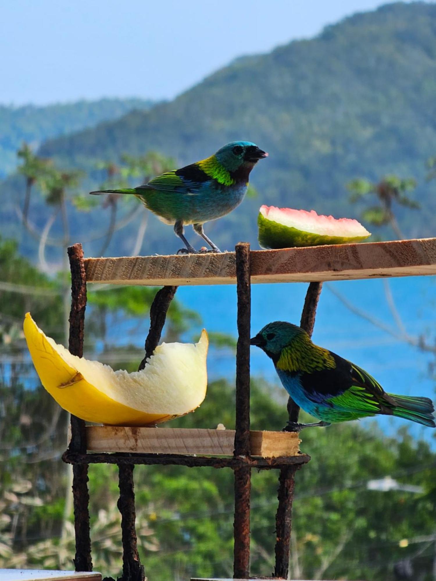 Pousada Encontro Das Aguas Trindade  Bagian luar foto